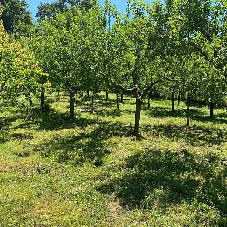 Villa Megara Kandira